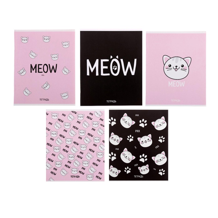 �������� ������� 48� �� MEOW, ��� ��� ����, ���� �����, 5��� ���� 4841454 �������� ��������� ������ ��